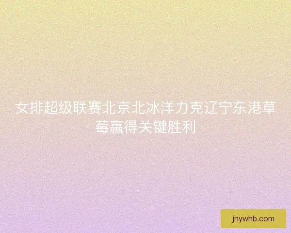女排超级联赛北京北冰洋力克辽宁东港草莓赢得关键胜利